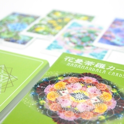 ヴィジョナリー オンライン 花曼荼羅カード ヴィジョナリー オンライン 花曼荼羅カード