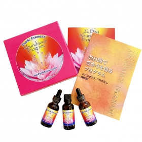 アバンダンスプログラム&和訳(2025新価格)